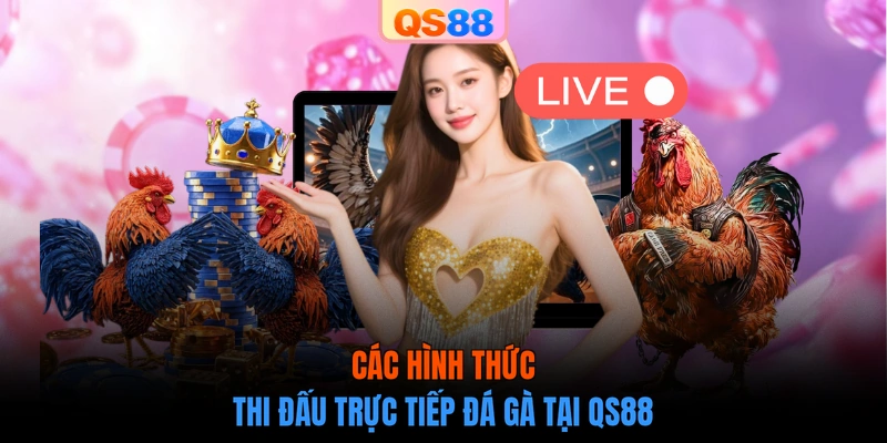 Các hình thức thi đấu trực tiếp đá gà tại QS88
