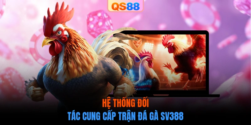 Hệ thống đối tác cung cấp trận đá gà SV388