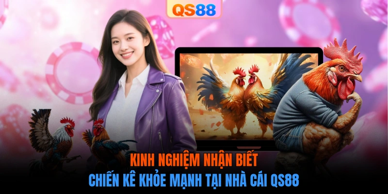 Kinh nghiệm nhận biết chiến kê khỏe mạnh tại nhà cái QS88