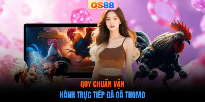 Quy chuẩn vận hành trực tiếp đá gà Thomo