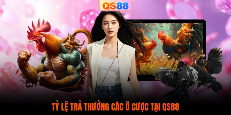 Tỷ lệ trả thưởng các ô cược tại QS88